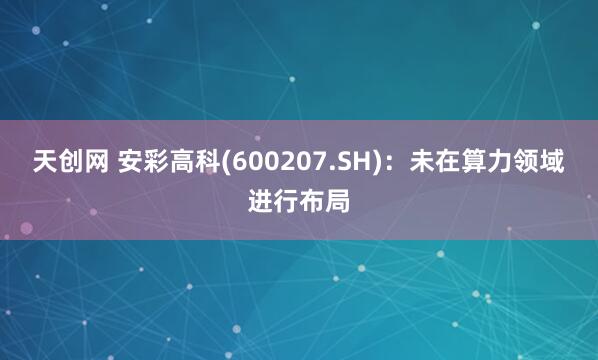 天创网 安彩高科(600207.SH)：未在算力领域进行布局