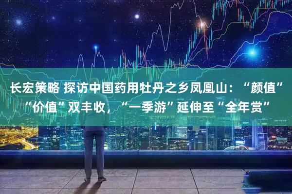 长宏策略 探访中国药用牡丹之乡凤凰山：“颜值”“价值”双丰收，“一季游”延伸至“全年赏”