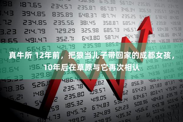 真牛所 12年前，把狼当儿子带回家的成都女孩，10年后在草原与它再次相认