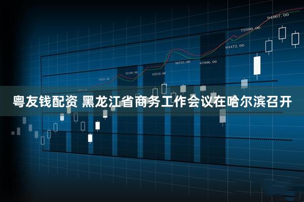 粤友钱配资 黑龙江省商务工作会议在哈尔滨召开