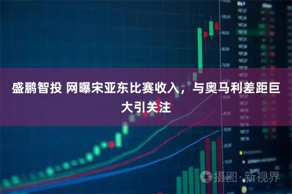 盛鹏智投 网曝宋亚东比赛收入,与奥马利差距巨大引关注