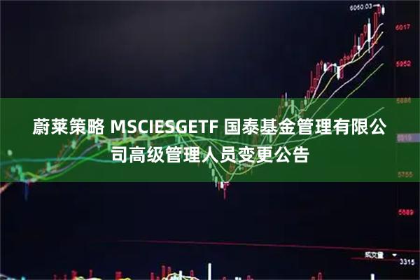 蔚莱策略 MSCIESGETF 国泰基金管理有限公司高级管理人员变更公告