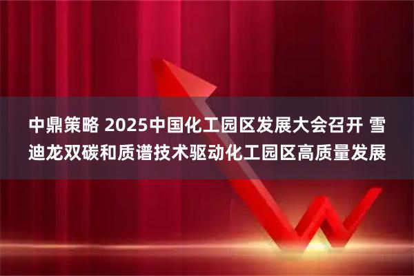 中鼎策略 2025中国化工园区发展大会召开 雪迪龙双碳和质谱技术驱动化工园区高质量发展