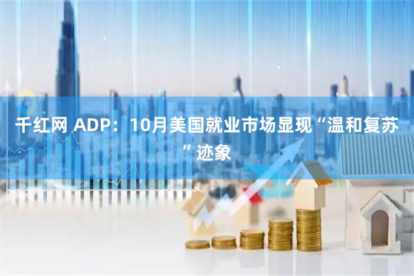 千红网 ADP:10月美国就业市场显现“温和复苏”迹象