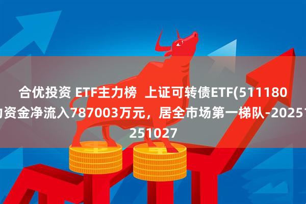 合优投资 ETF主力榜  上证可转债ETF(511180)主力资金净流入787003万元，居全市场第一梯队-20251027